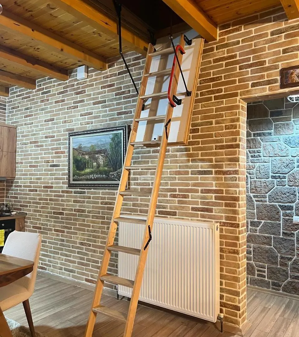 Apartment Saselisht Harmony 4 Bedroom Villa Pogradec Albania